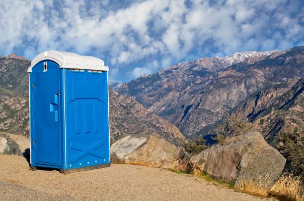 Best Local porta potty services  in Hamshire, TX